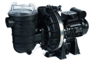 imagen bomba sta-rite 5p2r 2